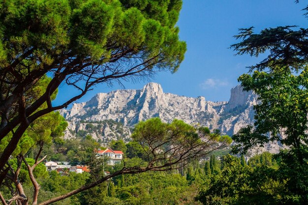 Crimea view of mount aipetri