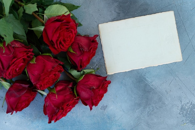 Crimson red rose flowers