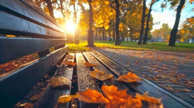 Photo crisp autumn morning sunlit park scene with bright leaves resting on a bench