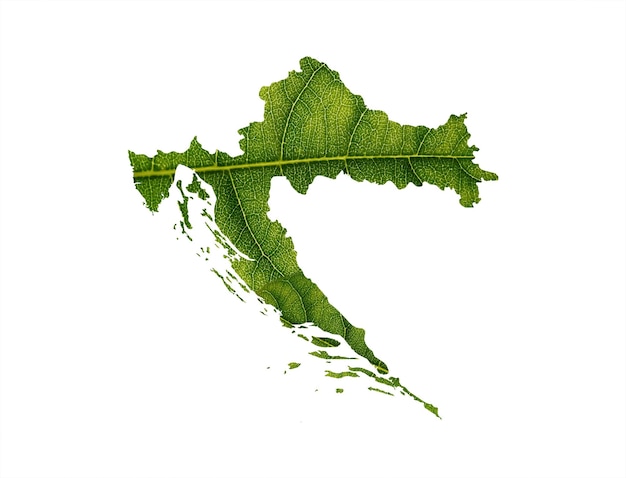 Croatia map made of green leaves on White background ecology concept