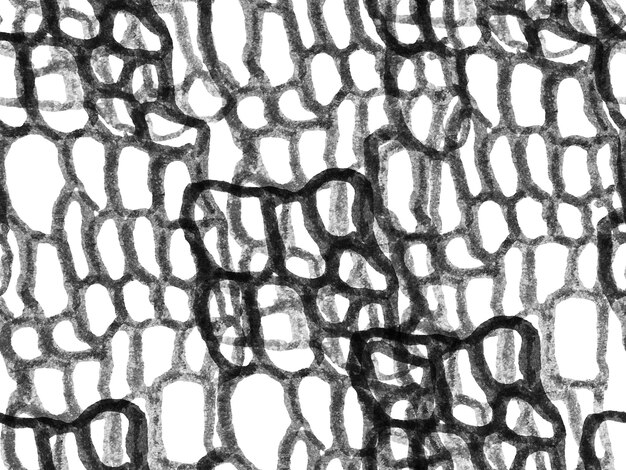 Crocodile Seamless Pattern Alligator Closeup Background Monochrome and Greyscale Hand Drawn Crocod