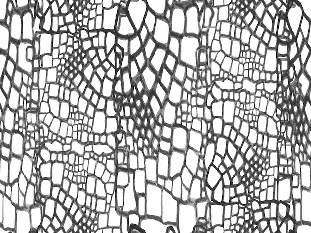 Crocodile Seamless Pattern Alligator Closeup Background Monochrome and Greyscale Hand Drawn Crocod