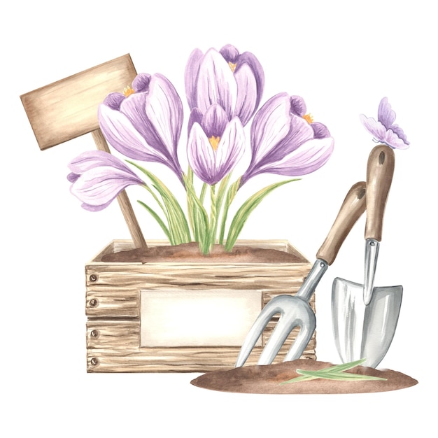 Crocuse flowers in crate with sign butterfly trowel and rake in soil gardening tools and supplies