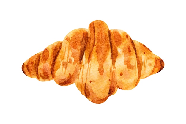 Croissant hand drawn watercolor