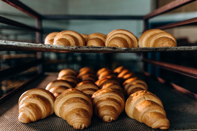 Croissant making factory bakery fresh cook biscuit