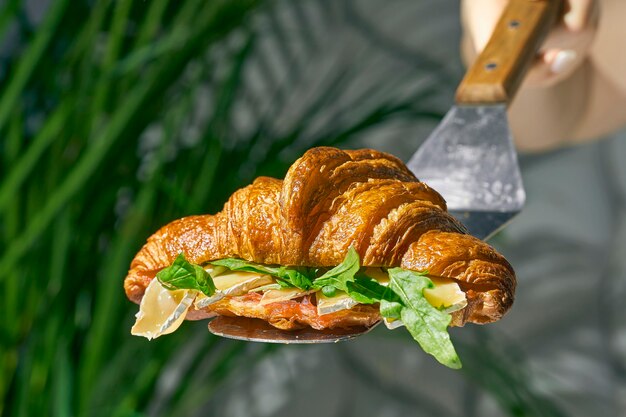 Photo croissant sandwich with brie cheese, arugula. hard light. white background