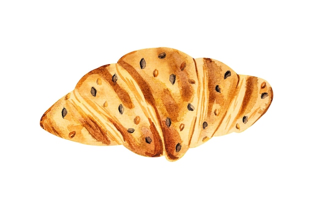 Croissant with sesame sprinkles Hand drawn watercolor