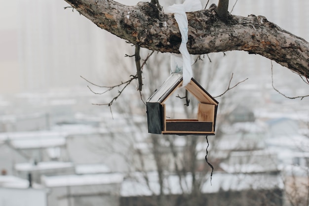 On a crooked tree trunk hangs a feeder with seeds in winter in clear weather