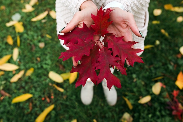 Crop hands holding leaf