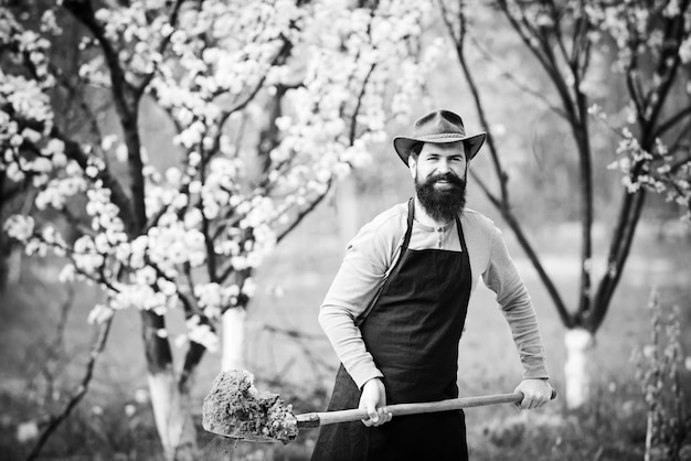 Crop planting at fields Senior man gardening in the garden Farmer planting in the vegetable garden H