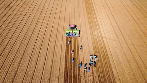 Photo crop planting