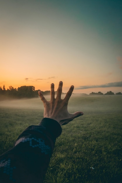 Photo cropped hand on field against sky during sunset