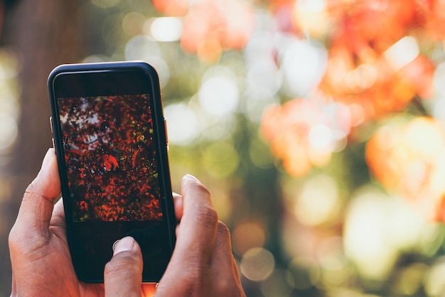 Photo cropped hand of woman using mobile phone