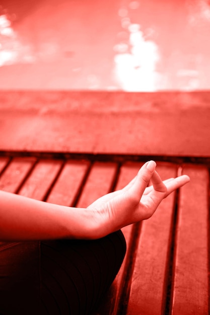 Cropped image of beautiful girl in sportswear meditating while doing yoga