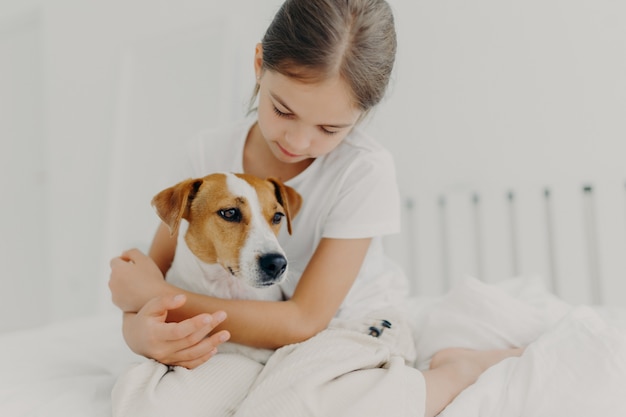 Cropped image of caring little girl in white t shirt, cuddles small pedigree dog, expresses big love to animal, poses on bed in white room, enjoys domestic atmosphere. Child with favourite pet