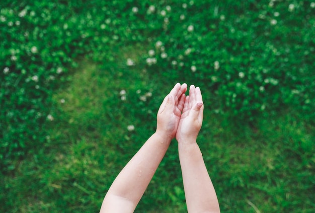 Photo cropped image of child over field