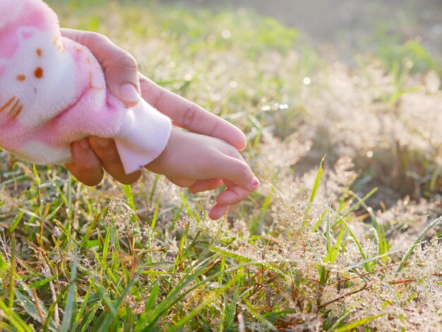 Photo cropped image of parent and daughter touching wet grass on land