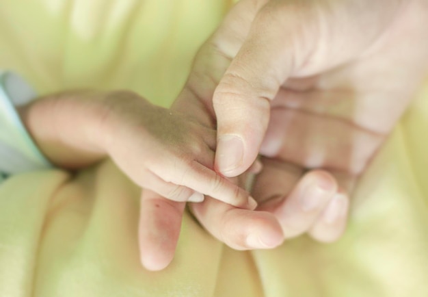 Photo cropped image of parent holding baby hand