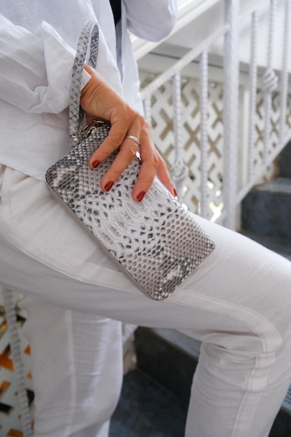 Cropped photo of woman hand holding python trendy purse