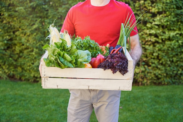 Cropped shot of a male courier holding grocery box with fresh vegetables while standing outdoors. Food delivery concept