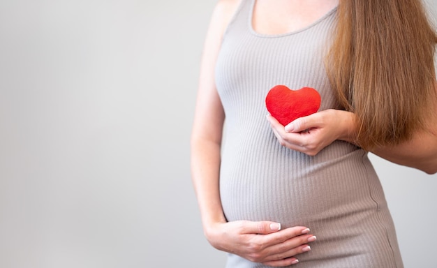 Cropped shot of pregnant woman wearing tight dress hold soft red heart on gray background