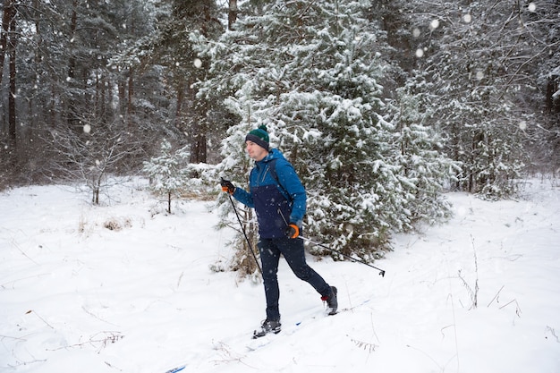 Cross-country skiing in winter forest