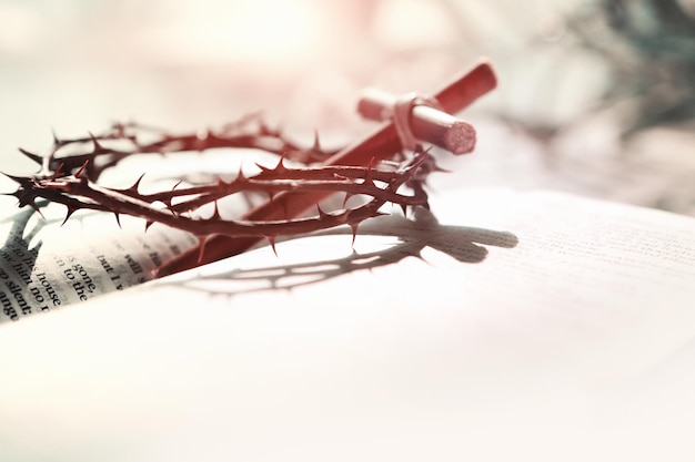 The cross of Jesus Christ the crown of thorns and the Bible