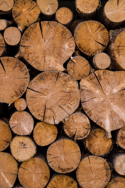 Cross section of the timber cut trees firewood stack for the background