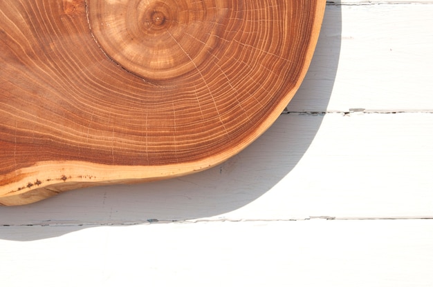 The cross-section of the tree lies on a white wooden surface, top view