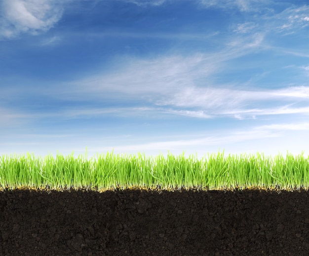 Crosssection of land with soilgrass and blue sky