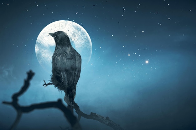 Crow with full moon