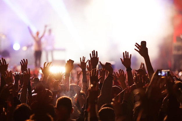 Crowd at concert summer music festival