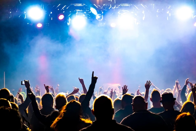 Crowd of people dancing in a concert