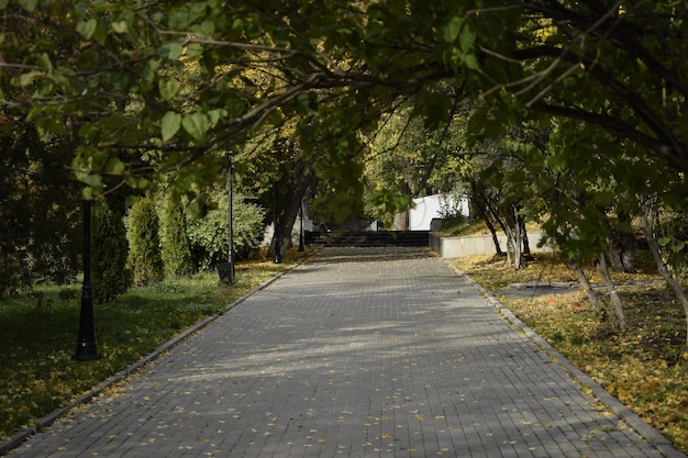 Crown Avenue Volga Embankment in Ulyanovsk Russia Autum