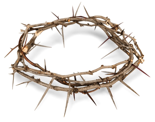 Crown of Thorns