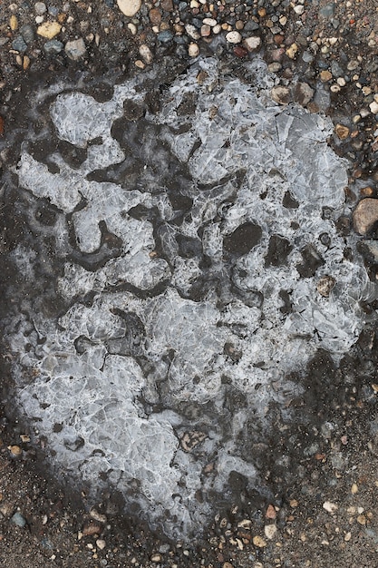 Crust of ice on a puddle of leaves