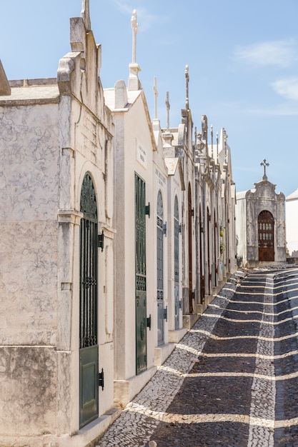 Crypts and details of the family tombs