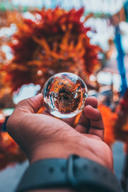 crystal ball on hand reflecting autumn tree