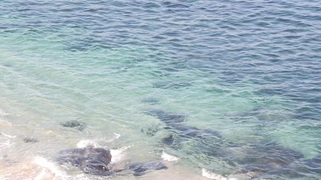 Crystal blue azure transparent ocean california coast turquoise water surface