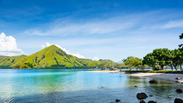 Crystal Clear Turquoise Water View