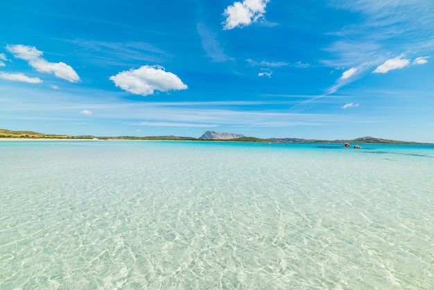 Crystal clear water in Cala Brandinchi