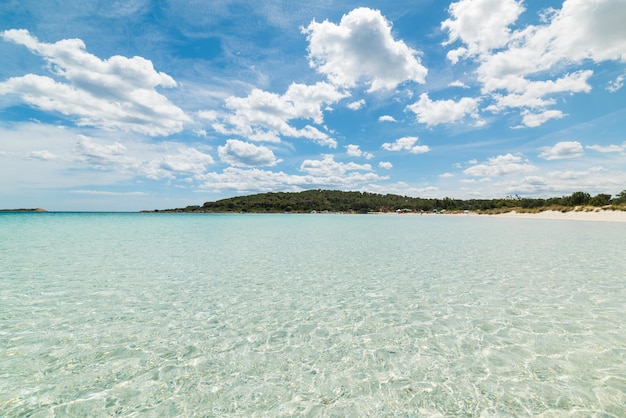 Crystal clear water in Cala Brandinchi