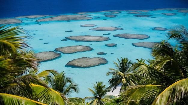 Crystal Clear Water of a Tropical Lagoon