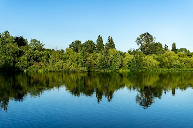 Crystal and turquoise water of the Trout Lake in Vancouver and green trees on the shore