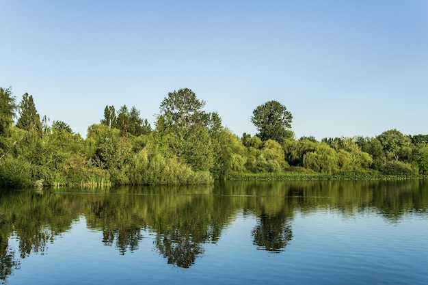 Crystal and turquoise water of the Trout Lake in Vancouver and green trees on the shore