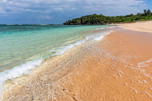 Crystalline wave breaking along the shore with white foam at a paradise beach in a sunny day