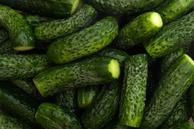 cucumber closeup