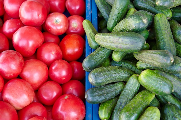 Cucumbers and tomatoes on the market for sale