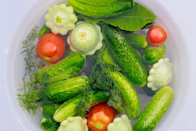 The cucumbers tomatoes and squash are ready for pickling