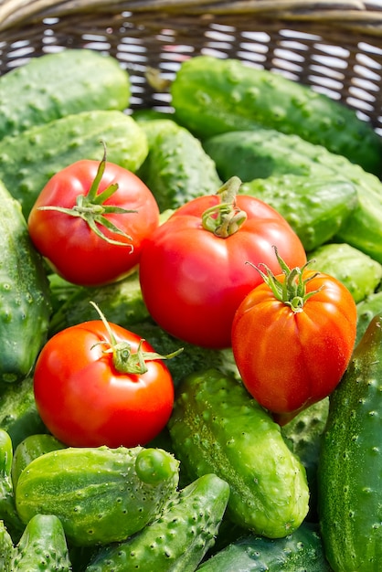 cucumbers and tomatoes in a wicker basket